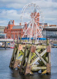 Ferris wheel in city