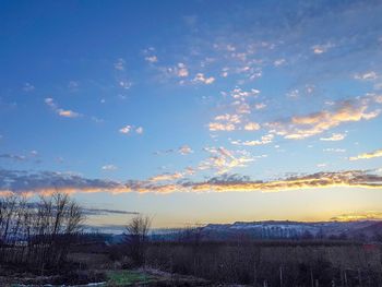 Scenic view of landscape against blue sky