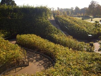 High angle view of garden in park