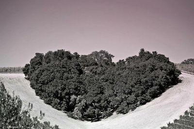 Scenic view of landscape against clear sky