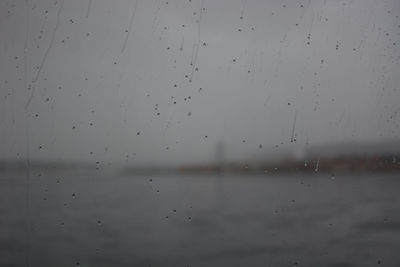 Close-up of tree against sky
