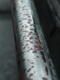 Close-up of pipe on railing