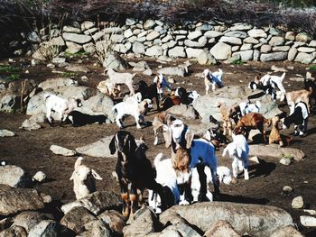 High angle view of people standing outdoors