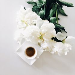 High angle view of white flowers on table