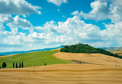 Scenic view of farm against sky