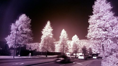 Road by trees against sky at night