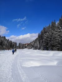 Snow covered field against sky