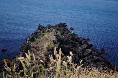 High angle view of rocks on beach