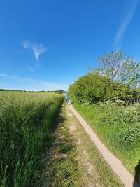 Empty road amidst plants on field against sky