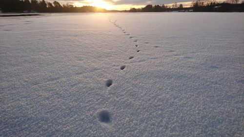 Footprints on snow covered landscape