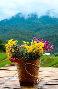 Close-up of flower pot on table