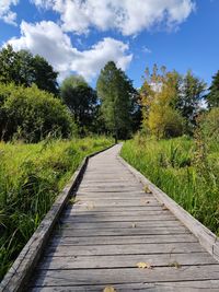 Boardwalk leading towards trees against sky