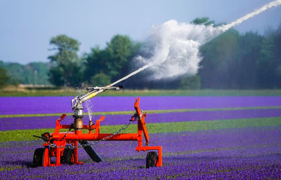 Sprinkler spraying water on agricultural field