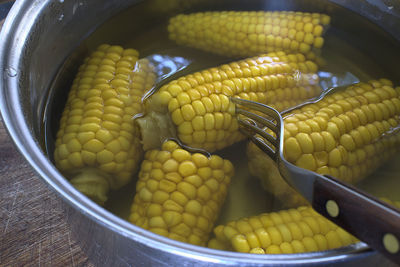 Close-up of  sweet corn 