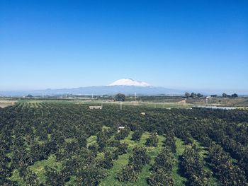 Scenic view of landscape against clear sky