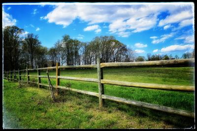 Fence on grassy field