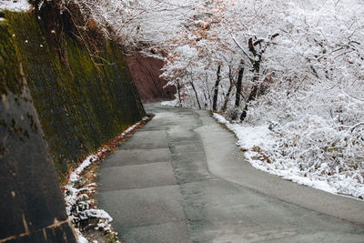 Footpath amidst trees during winter