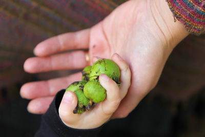 Cropped image of child giving fruits to mother