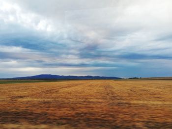 Scenic view of field against sky