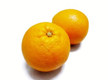 Close-up of orange fruit against white background