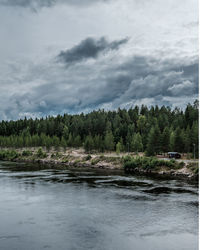 Scenic view of forest against sky