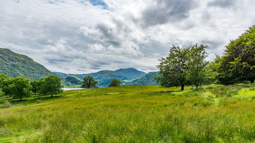 Scenic view of grassy field against cloudy sky