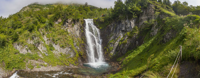 Scenic view of waterfall in forest