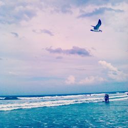 Low angle view of seagull flying over people at sea shore during sunset