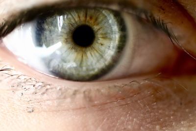 Close-up portrait of woman eye