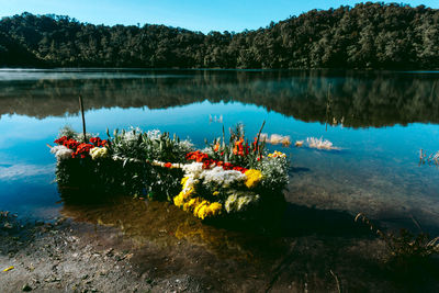 Scenic view of lake by trees