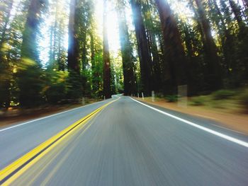 Road amidst trees in forest