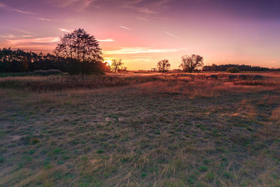 Scenic view of field against sky during sunset