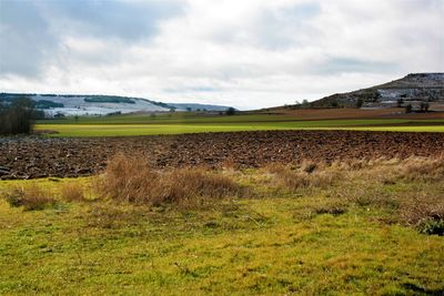 Scenic view of field against sky