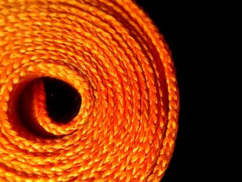 Close-up of orange snake against black background