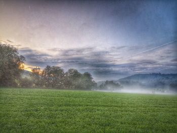Scenic view of field against sky