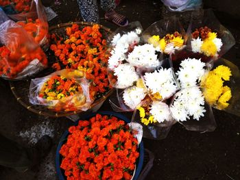 Full frame shot of multi colored flowers