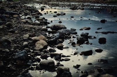 High angle view of rocks on beach