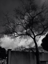 Low angle view of bare trees against sky