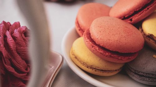 Close-up of dessert in plate on table