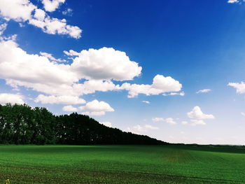 Scenic view of field against sky