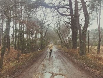 Rear view of a woman walking on bare trees