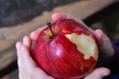 Close-up of hand holding apple