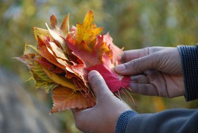 Close-up of woman hand holding autumn leaf