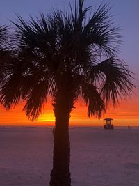 Silhouette palm trees on beach against sky during sunset