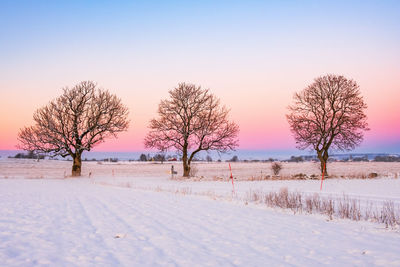 Bare trees on snow covered field against sky during sunset