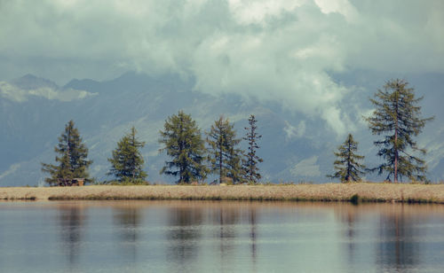 Scenic view of lake by trees against sky