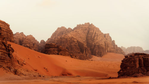 Tree in the middle of the desert taken in may 2022