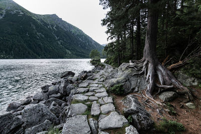 Scenic view of rocks by river against sky