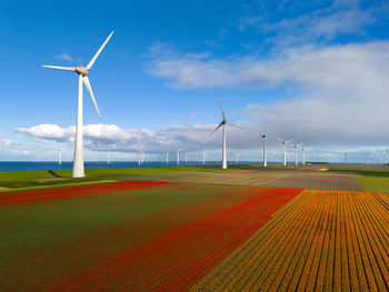 Windmills on field against sky