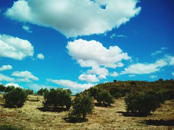 Scenic view of landscape against cloudy sky